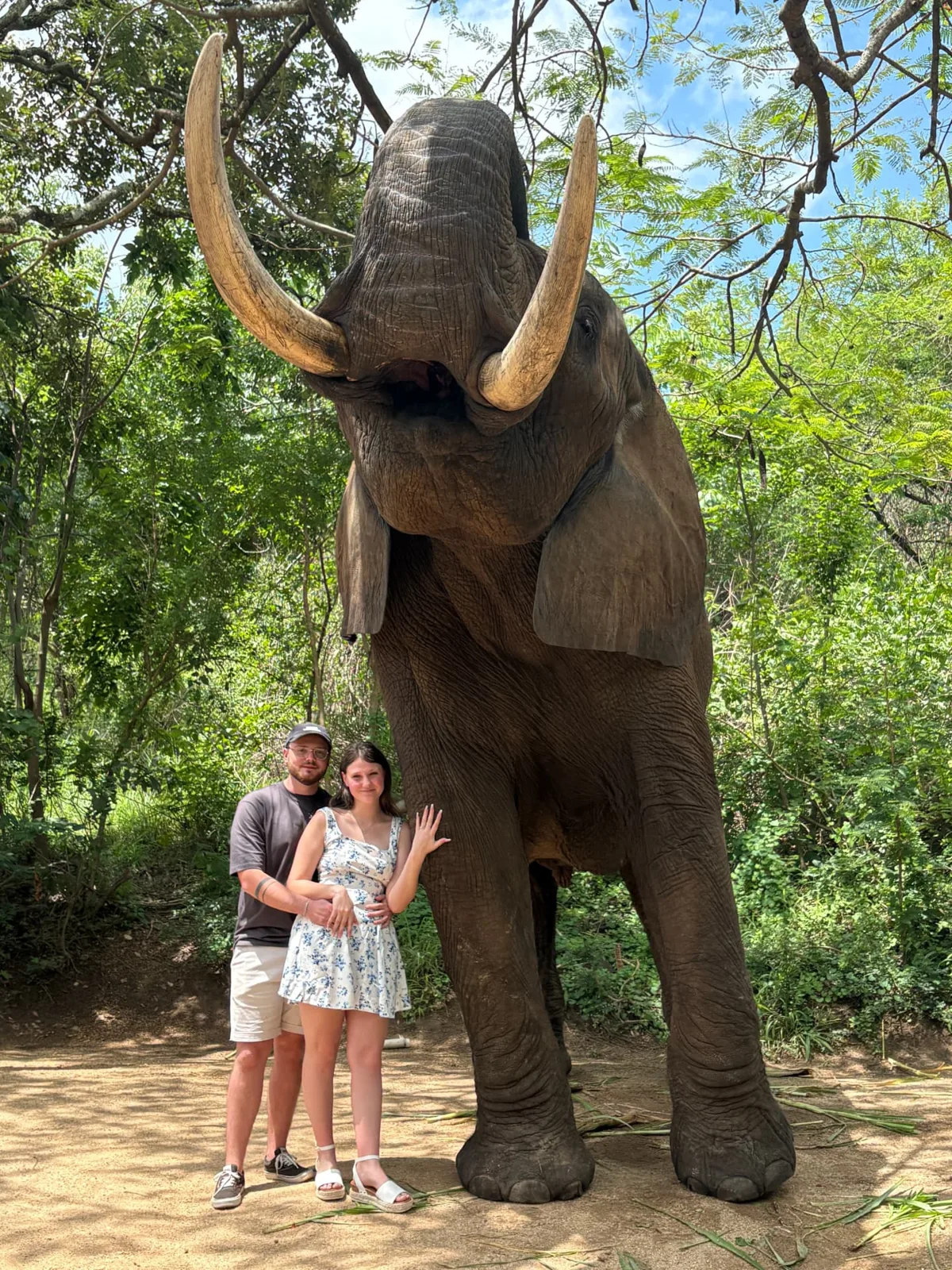Proposal photo 1