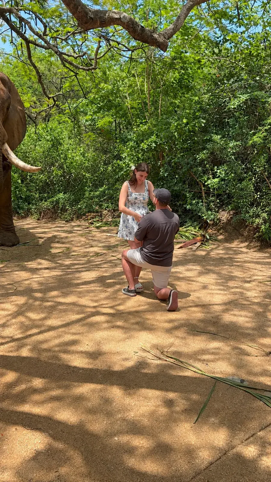 Proposal photo 2